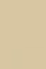 FARROW AND BALL SAVAGE GROUND NO. 213 PAINT
